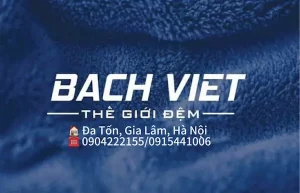 Thế giới đệm Bách Việt