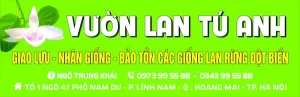 Vườn Lan Tú Anh