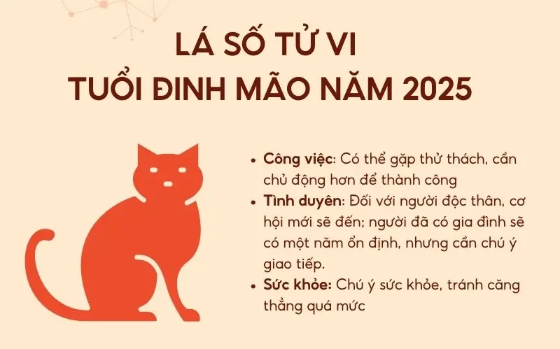 Lá số tử vi tuổi Đinh Mão năm 2025 dự báo bạn sẽ đối diện với nhiều thử thách