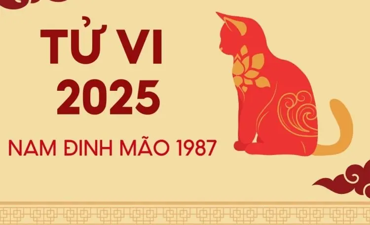 Tử vi tuổi 1987 năm 2025 nam mạng chi tiết