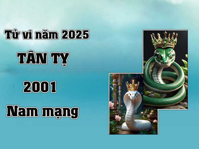 Tử vi Tuổi Tân Tỵ 2001 năm 2025