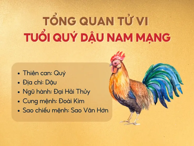 Tử vi tuổi 1993 năm 2025 nam mạng