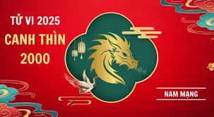 Tử vi tuổi 2000 năm 2025 nam mạng