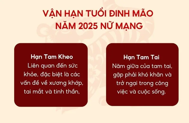 Vận hạn tử vi tuổi Đinh Mão năm 2025 nữ mạng